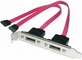 Serial ATA PC Backplate Adapter SATA Sockets 2 port,ESATA bracket for installation proveedor